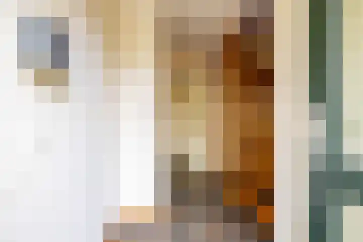 De Stuw 8 Sauwerd thumbnail 6