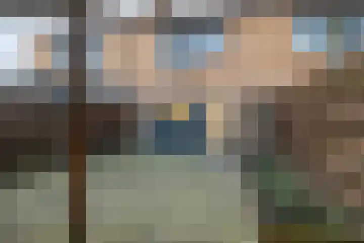 De Taling 17 Dronten thumbnail 30