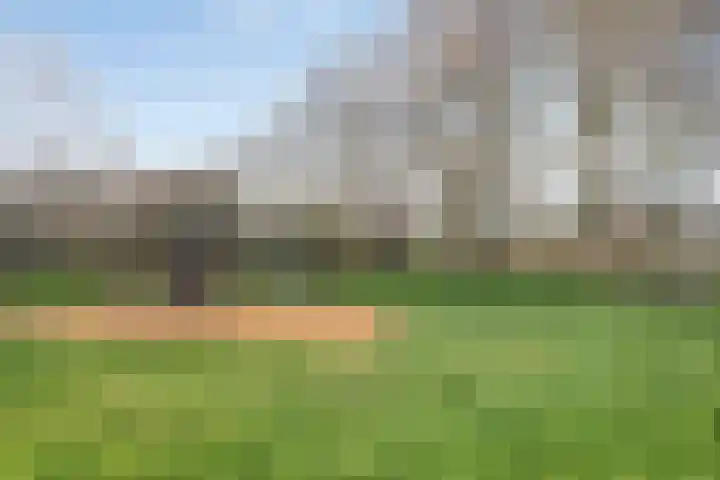 De Taling 17 Dronten thumbnail 38