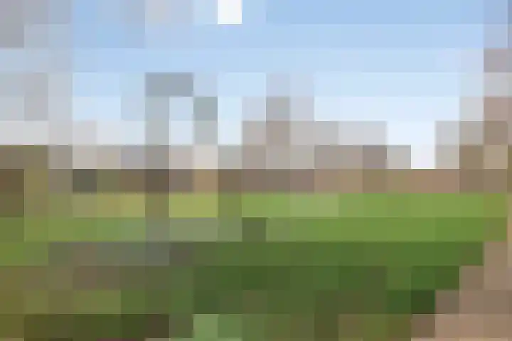 De Taling 17 Dronten thumbnail 39