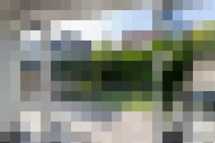 De Taling 21 Almelo thumbnail 12