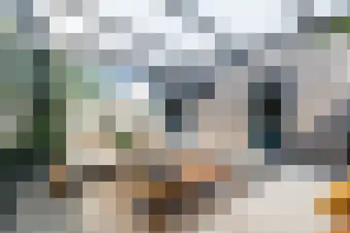 De Taling 21 Almelo thumbnail 25