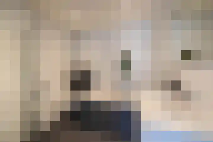 De Taling 21 Almelo thumbnail 4