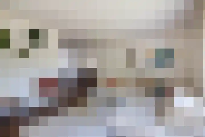 De Taling 21 Almelo thumbnail 7