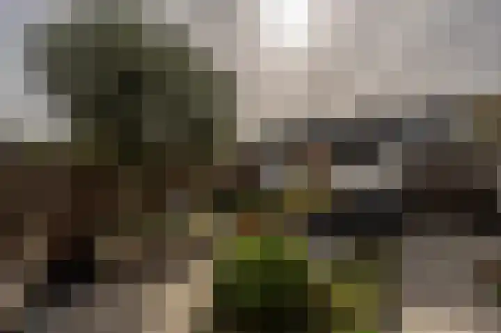 De Taling 24 Almelo thumbnail 10