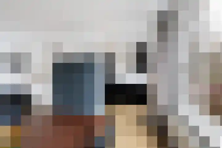 De Taling 24 Almelo thumbnail 12