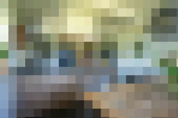 De Taling 24 Almelo thumbnail 13