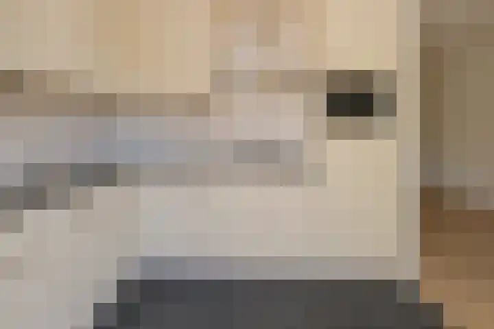 De Taling 24 Almelo thumbnail 13