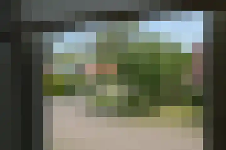 De Taling 24 Almelo thumbnail 16