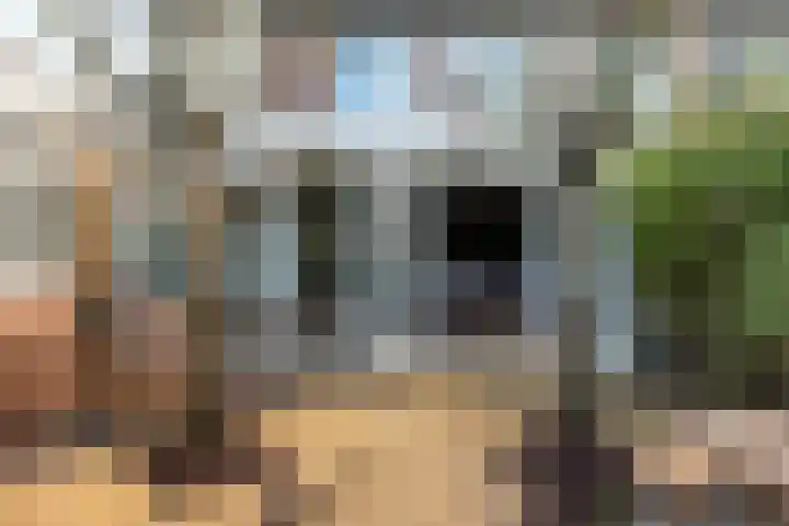 De Taling 24 Almelo thumbnail 19