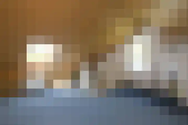 De Taling 24 Almelo thumbnail 22