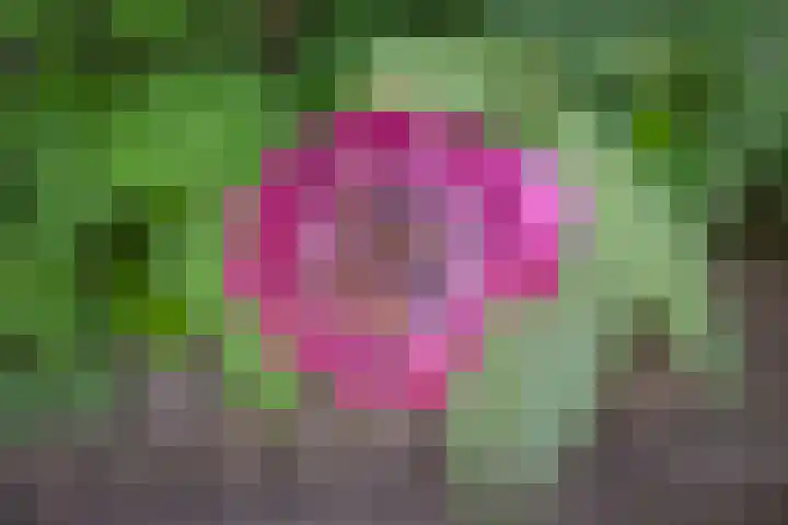 De Taling 24 Almelo thumbnail 24