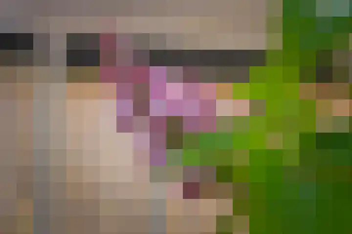 De Taling 24 Almelo thumbnail 25