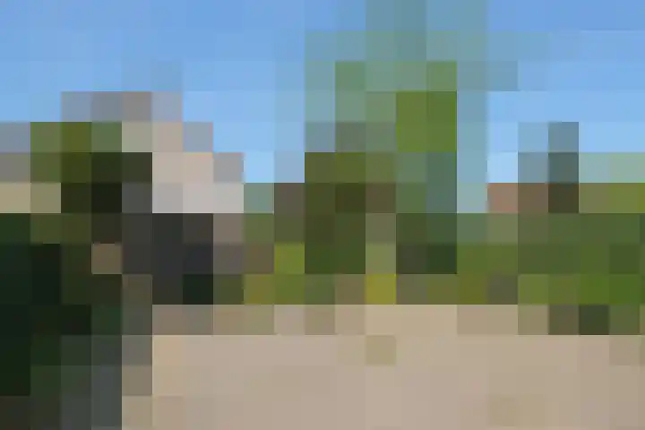 De Taling 24 Almelo thumbnail 26