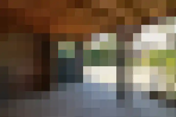 De Taling 24 Almelo thumbnail 28