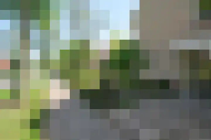 De Taling 24 Almelo thumbnail 31