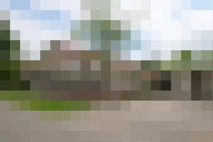 De Taling 24 Almelo thumbnail 32