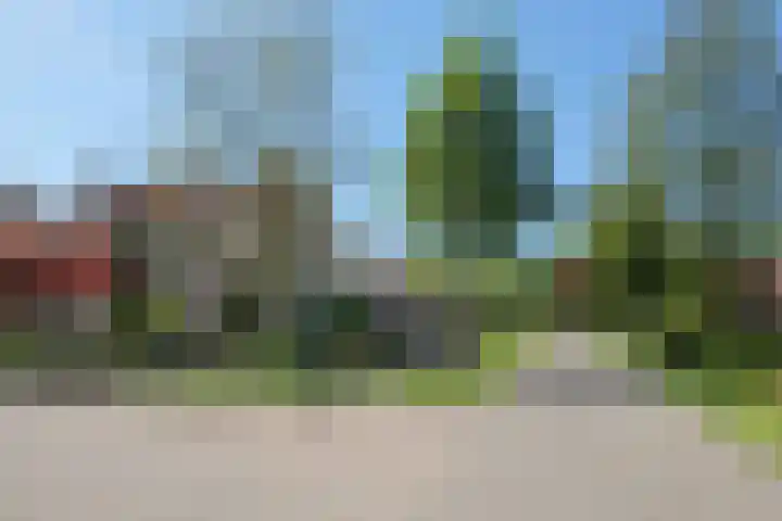 De Taling 24 Almelo thumbnail 35