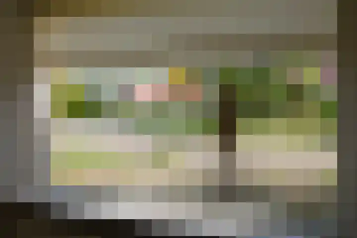 De Taling 24 Almelo thumbnail 6
