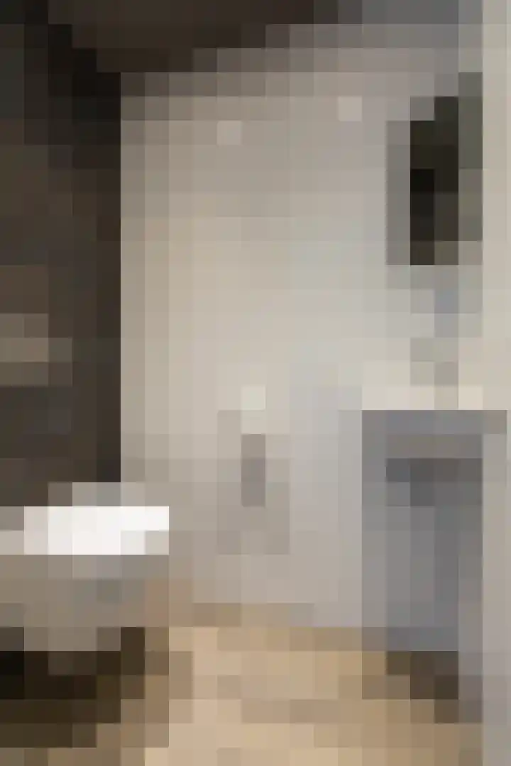 De Tamboer 11 Duiven thumbnail 11