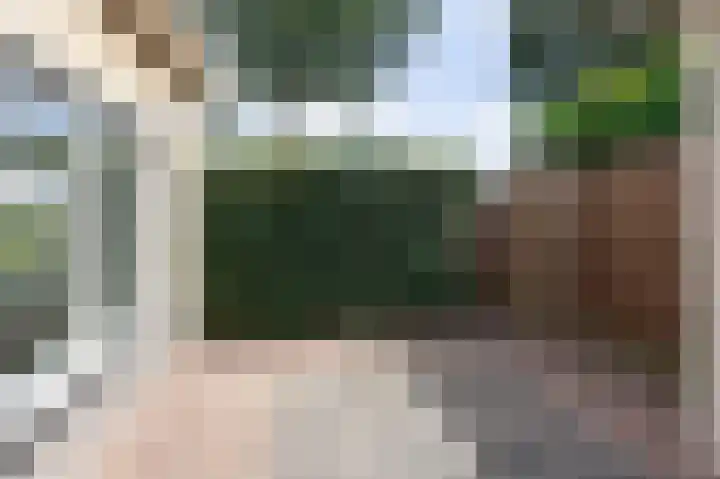De Tamboer 11 Duiven thumbnail 23