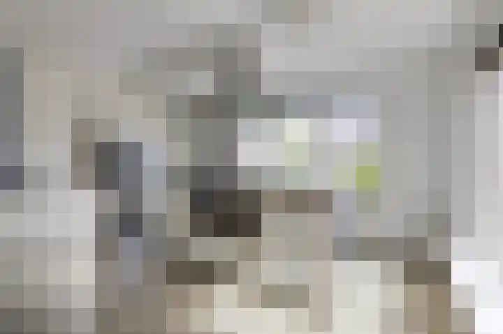 De Tamboer 11 Duiven thumbnail 30