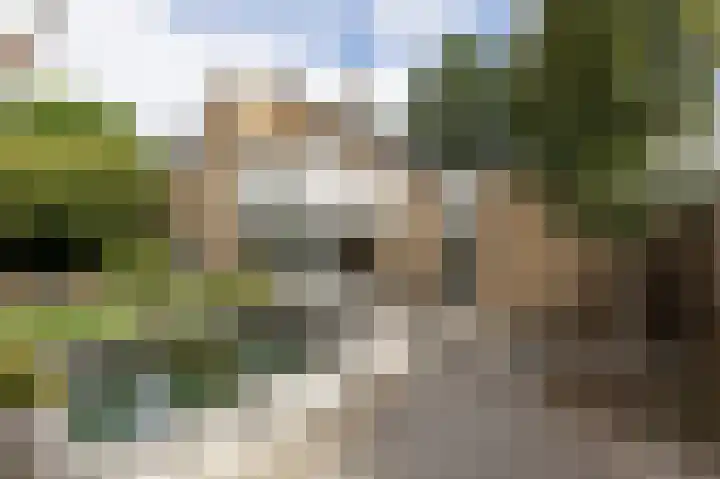 De Tamboer 11 Duiven thumbnail 4