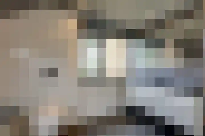 De Tamboer 11 Duiven thumbnail 59