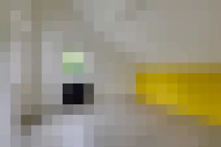 De Tamboer 11 Duiven thumbnail 62