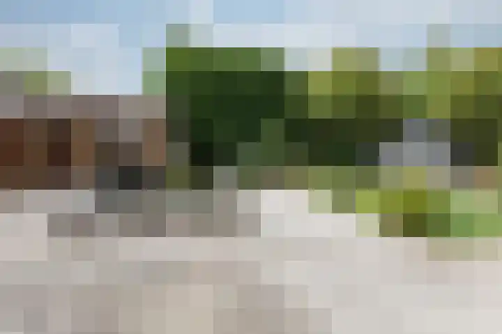 De Tamboer 11 Duiven thumbnail 69