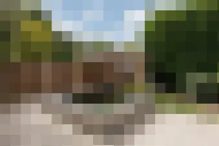 De Tamboer 11 Duiven thumbnail 70
