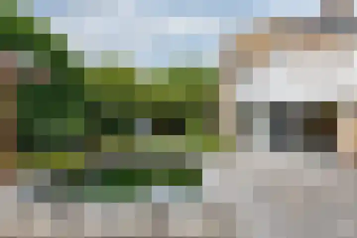 De Tamboer 11 Duiven thumbnail 72