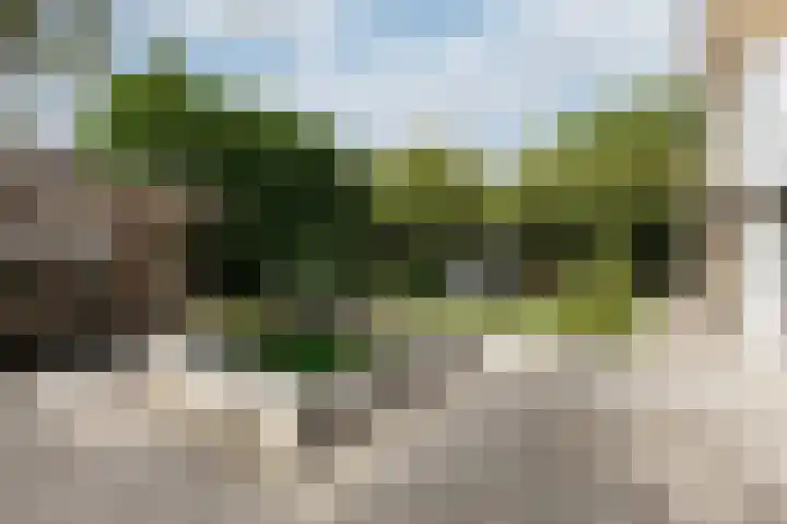 De Tamboer 11 Duiven thumbnail 73