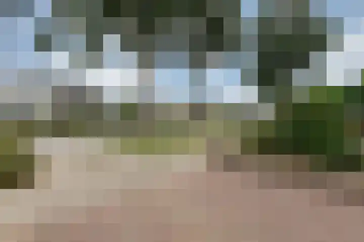 De Tamboer 11 Duiven thumbnail 81