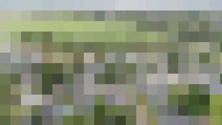De Tamboer 11 Duiven thumbnail 84