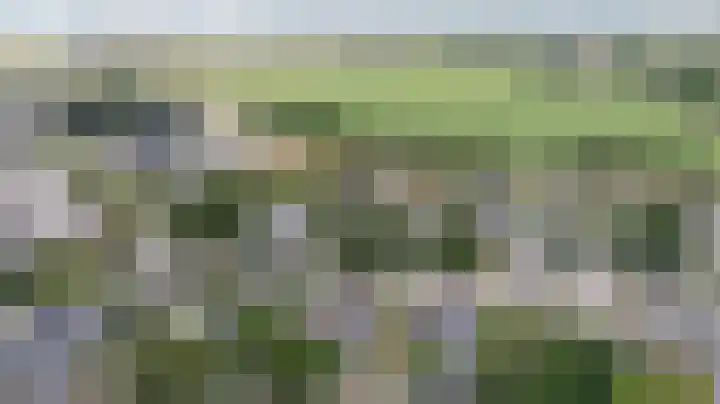 De Tamboer 11 Duiven thumbnail 85