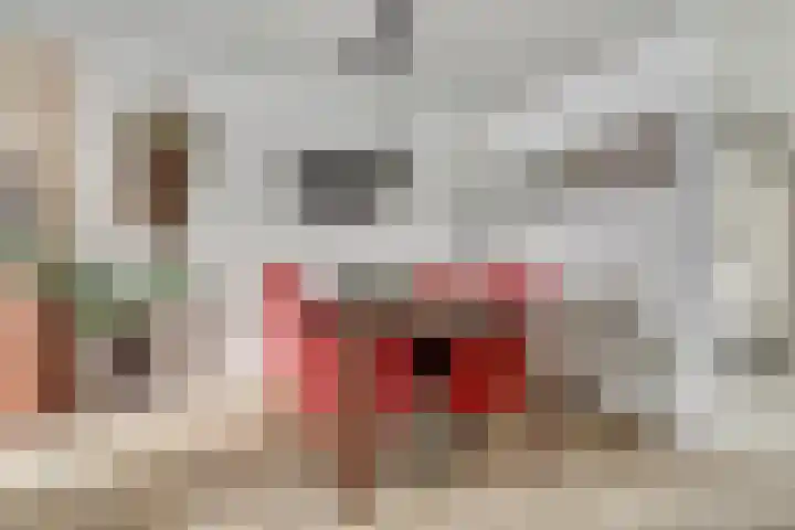 De Tamboer 19 Duiven thumbnail 10