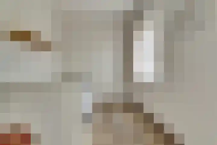 De Tamboer 19 Duiven thumbnail 23
