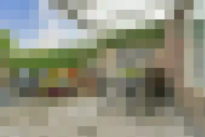 De Tamboer 19 Duiven thumbnail 27