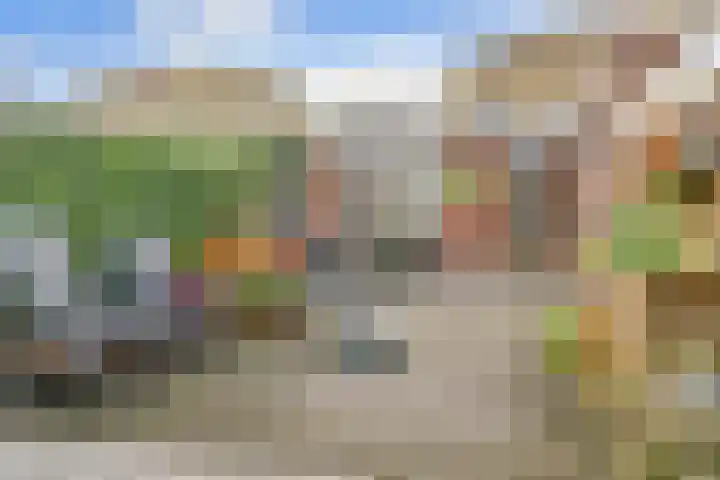 De Tamboer 19 Duiven thumbnail 29