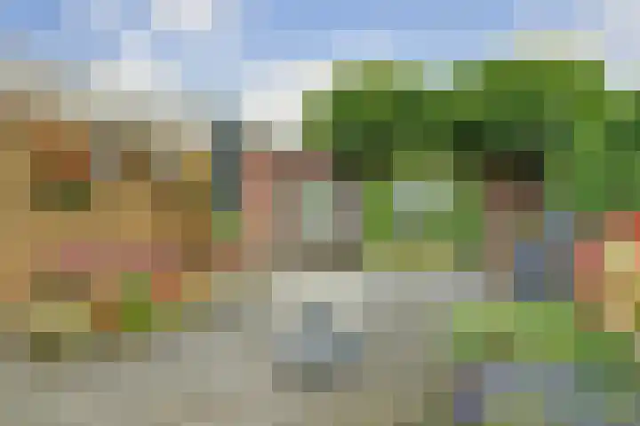 De Tamboer 19 Duiven thumbnail 31