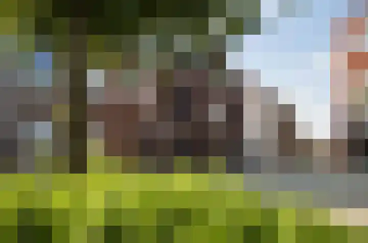 De Tamboer 19 Duiven thumbnail 34