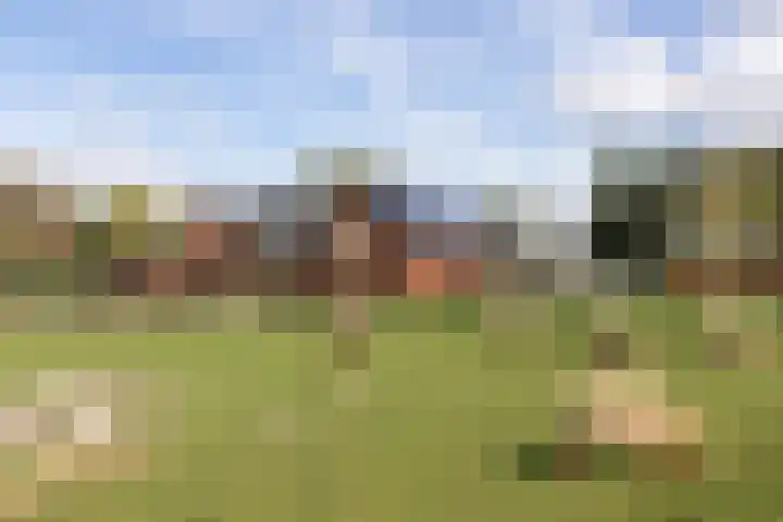 De Tamboer 19 Duiven thumbnail 35