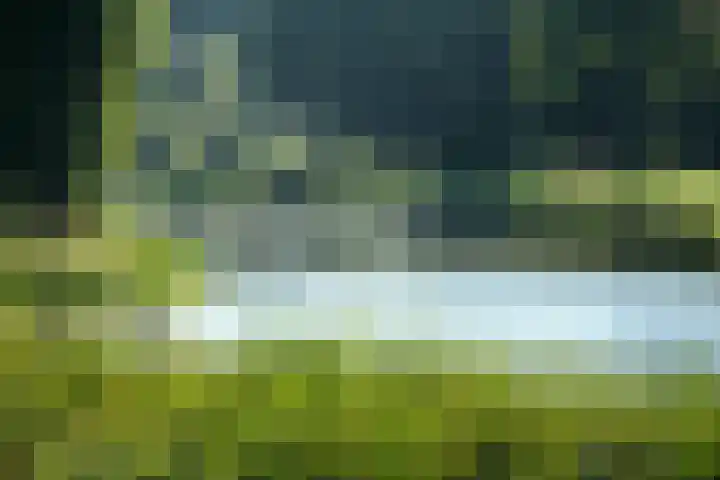 De Tamboer 19 Duiven thumbnail 36