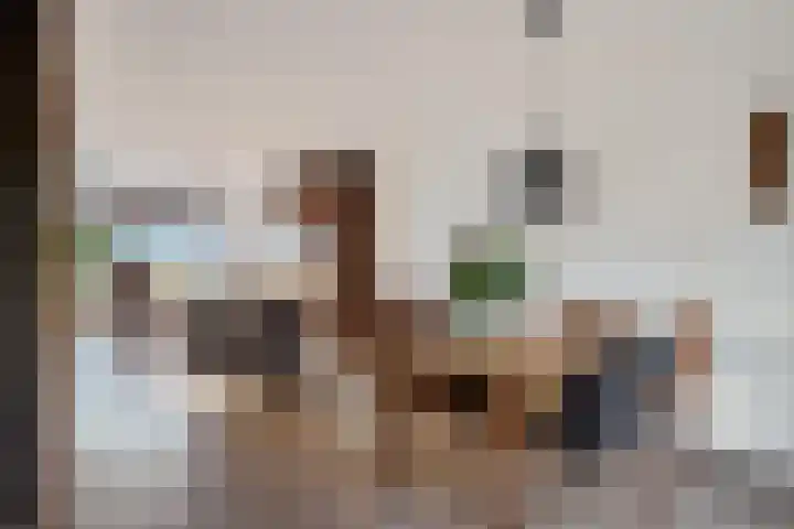 De teeme 14 Steenwijk thumbnail 13