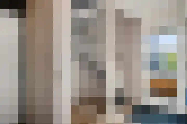 De teeme 14 Steenwijk thumbnail 15