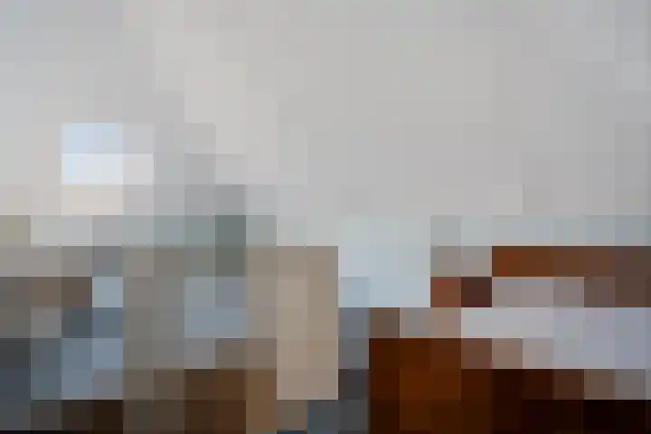 De teeme 14 Steenwijk thumbnail 26