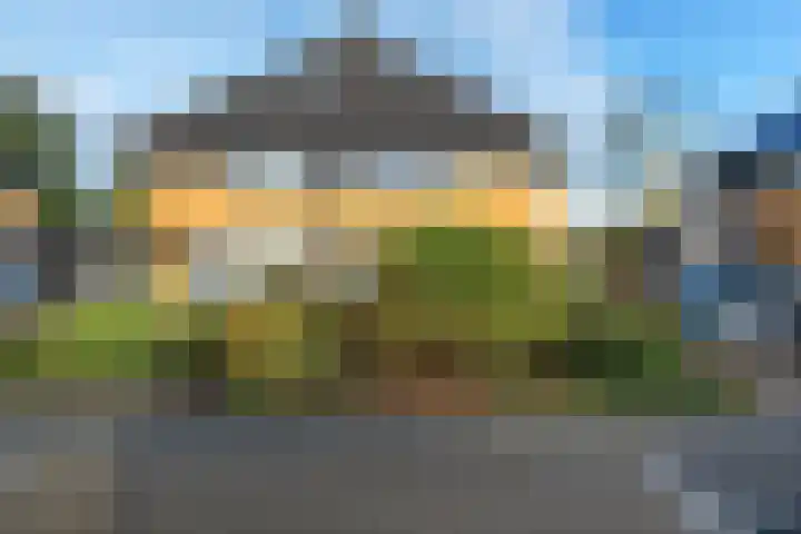 De teeme 14 Steenwijk thumbnail 35