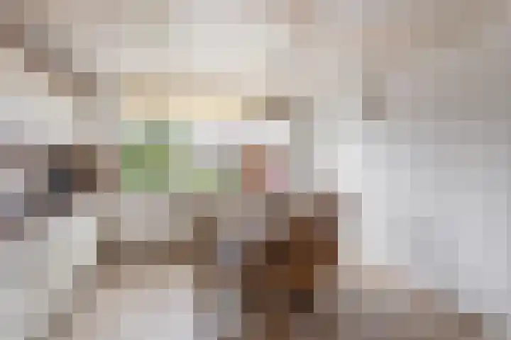 de Teilen 4 Denekamp thumbnail 10