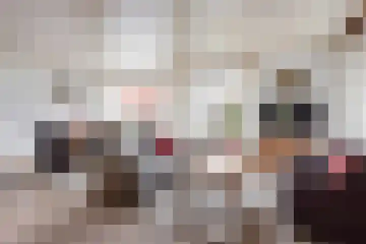 de Teilen 4 Denekamp foto 2